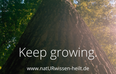 Keep growing | © Svenja Alber
