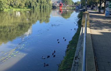 Heilbronner Neckarmeile | © Heilbronn Marketing GmbH