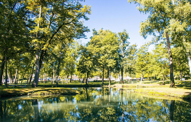 Ein ruhiger Park mit einem kleinen Teich, umgeben von hohen Bäumen unter einem klaren blauen Himmel. | © Stuttgart-Marketing GmbH, Sarah Schmid