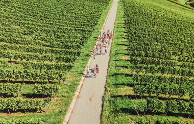 Weingut Koppenhöfer | Löwenstein-Rittelhof | Weinerlebnisführung | Weinsberger Tal | © Tourismus im Weinsberger Tal e.V.