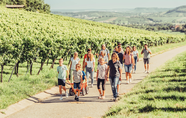 Weingut Koppenhöfer | Löwenstein-Rittelhof | Weinerlebnisführung | Weinsberger Tal | © Tourismus im Weinsberger Tal e.V.