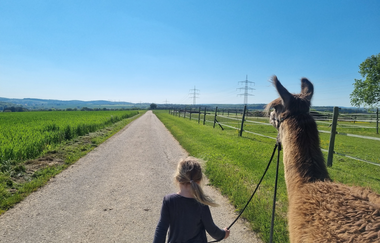 Alpakawanderung | © Nonies Hof