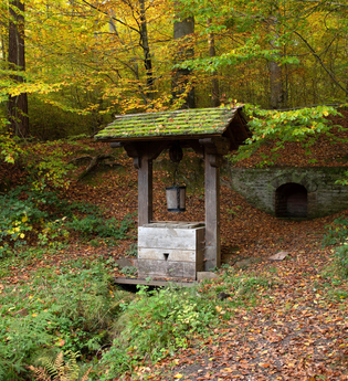 Brunnen im Wald | © Landratsamt Rhein-Neckar-Kreis