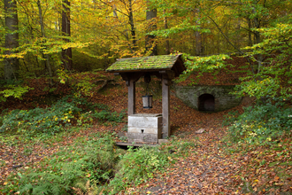 Brunnen im Wald | © Landratsamt Rhein-Neckar-Kreis