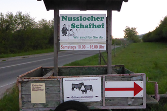 Nußlocher Schafhof | © Beate Otto