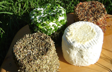 Nußlocher Ziegenkäsehof | © Nußlocher Ziegenkäsehof