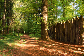 Limes Palisade bei Walldürn | © Stadt Walldürn