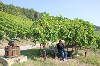 Obersulmer WeinErlebnispfad im Zeilberg | HeilbronnerLand | © Gemeinde Obersulm