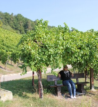 Obersulmer WeinErlebnispfad im Zeilberg | HeilbronnerLand | © Gemeinde Obersulm