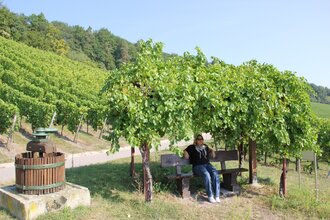Obersulmer WeinErlebnispfad im Zeilberg | HeilbronnerLand | © Gemeinde Obersulm