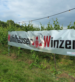 Obst- und Edelbrände -  Weinbau Rühl Mühlhausen | © Beate Otto