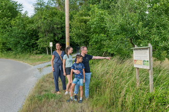 Obstbaumweg Neidenstein | © Stadt Sinsheim