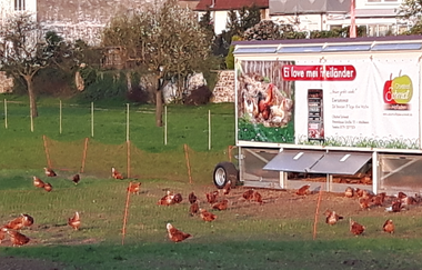 Obsthof Schmidt in Altlußheim | © Gemeinde Altlußheim