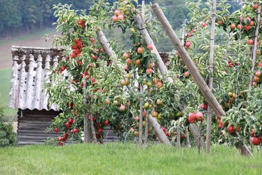 © Liebliches Taubertal