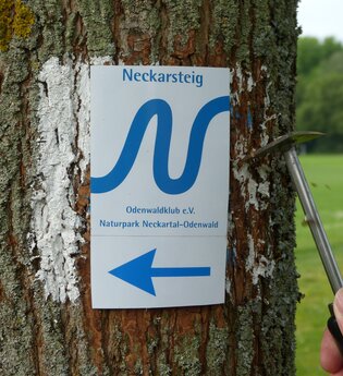 Odenwaldklub e.V. | © Neckarsteig-Büro