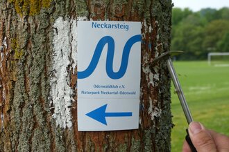 Odenwaldklub e.V. | © Neckarsteig-Büro