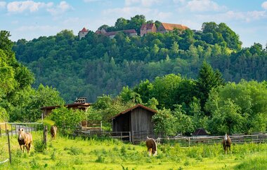 Ort des Glücks - AUSSICHTSPUNKT ALTENBERG | © Liebliches Taubertal