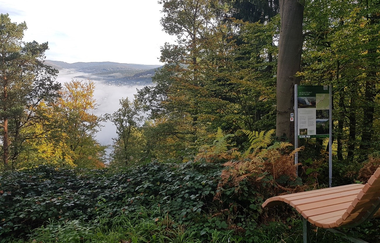 Ort des Glücks - AUSSICHTSPUNKT HOHE FELSEN | © Liebliches Taubertal