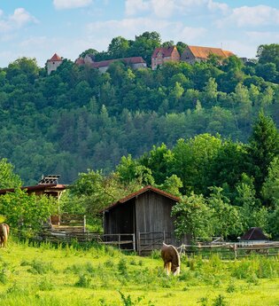 Ort des Glücks - AUSSICHTSPUNKT REISFELDER HÖHE | © Liebliches Taubertal