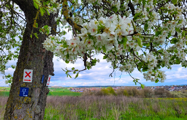Ort des Glücks - AUSSICHTSPUNKT SCHNEEBERG | © Liebliches Taubertal