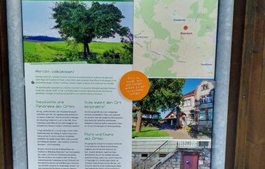 Ort des Glücks - AUSSICHTSPUNKT VORBÜSCHEL-ALM | © Liebliches Taubertal