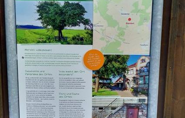 Ort des Glücks - AUSSICHTSPUNKT VORBÜSCHEL-ALM | © Liebliches Taubertal