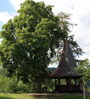 Ottohöhe (185 m) bei Eberbach