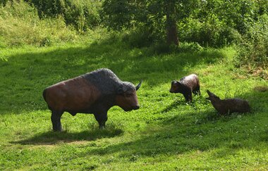 OX-BoW Bogenschießen | Jagsthausen | HeilbronnerLand | © OX-BoW Bogenschießen