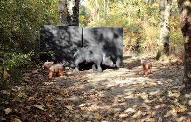 OX-BoW Bogenschießen | Jagsthausen | HeilbronnerLand | © OX-BoW Bogenschießen