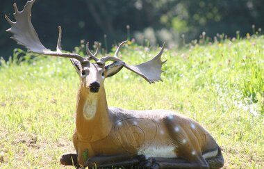 OX-BoW Bogenschießen | Jagsthausen | HeilbronnerLand | © OX-BoW Bogenschießen