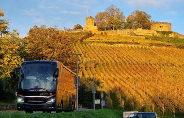 P1 "Grasiger Hag" Weinsberg | © Tourismus im Weinsberger Tal e.V.