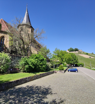 P1 "Grasiger Hag" Weinsberg