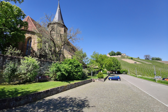 P1 "Grasiger Hag" Weinsberg