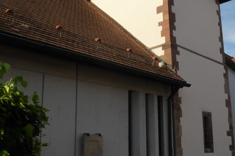 Pankratiuskapelle Altwiesloch | © Beate Otto