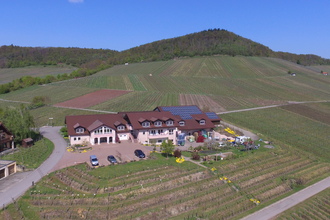 PANORAMAWEINGUT Reinhard Baumgärtner | © Land der 1000 Hügel - Kraichgau-Stromberg