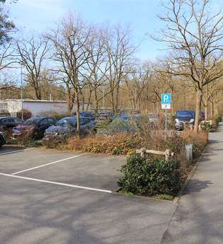 Parkplatz vor dem Tierpark umgeben von Bäumen