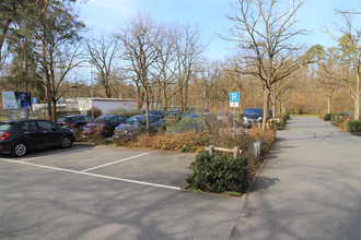 Parkplatz vor dem Tierpark umgeben von Bäumen