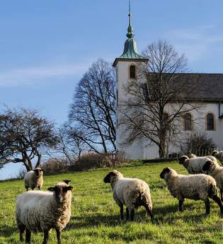 Parkplatz Bruchsaler Kreuzweg | © BTMV Bruchsal