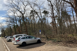 Parkplätze vor dem Wald