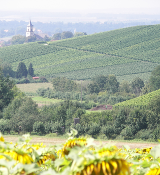 Deinenbachtal | Flein | HeilbronnerLand