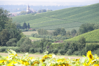 Deinenbachtal | Flein | HeilbronnerLand