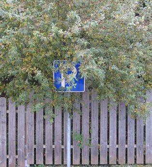 Parkplatz Therapiezentrum Kraichtal-Münzesheim | © Land der 1000 Hügel - Kraichgau-Stromberg