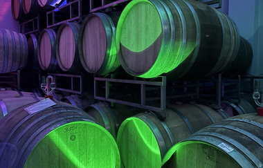 Petra Wagner | Weinerlebnisführerin