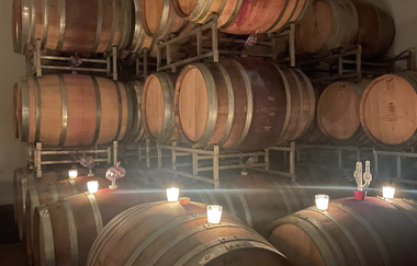 Petra Wagner | Weinerlebnisführerin