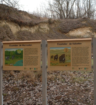Pfad "Homo Heidelbergensis" in Mauer