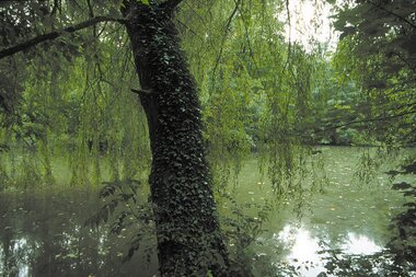 © Land der 1000 Hügel - Kraichgau-Stromberg