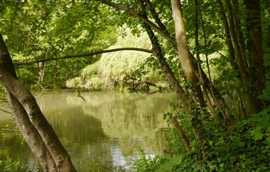 Pfannwaldsee | © Stadtverwaltung Kraichtal