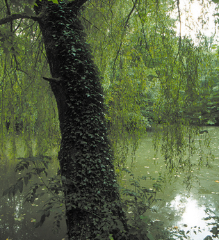 Pfannwaldsee | © Land der 1000 Hügel - Kraichgau-Stromberg