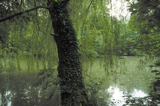 Pfannwaldsee | © Land der 1000 Hügel - Kraichgau-Stromberg