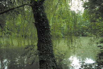 Pfannwaldsee | © Land der 1000 Hügel - Kraichgau-Stromberg